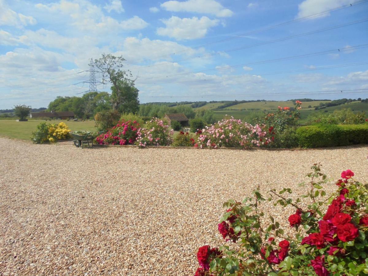 ריי Rose Cottage מראה חיצוני תמונה